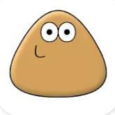 Pou