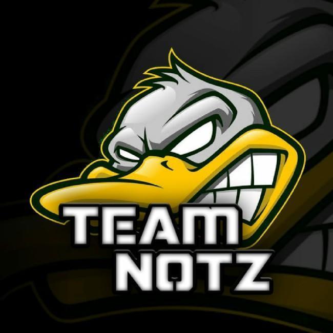 Team Notz