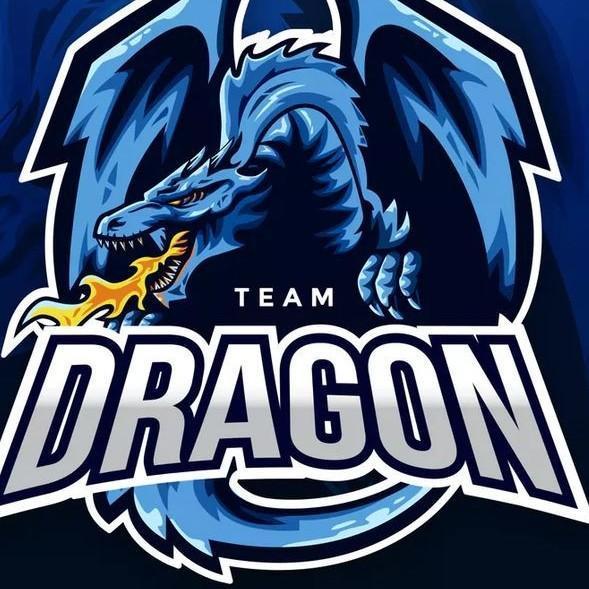 DRAGON TEAM