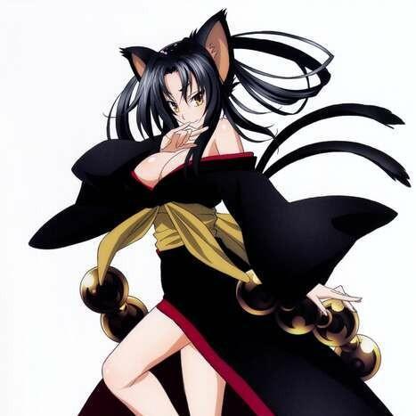 Kuroka
(High School DxD)