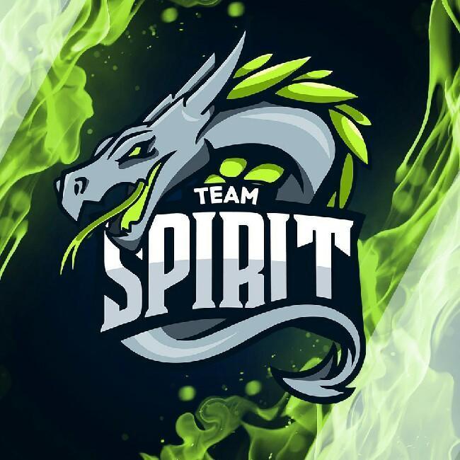 Team Spirit