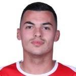 Radonjic Nemanja