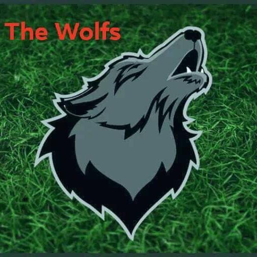 WOLFS TEAM