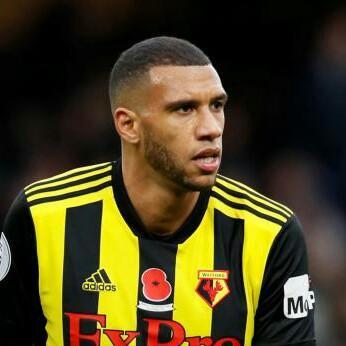 Etienne Capoue