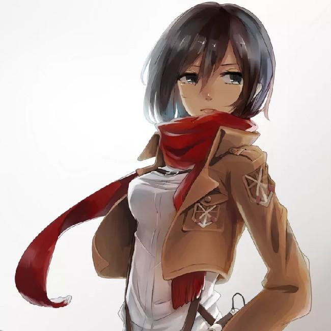Mikasa Ackerman (Shingeki no Kyojin)