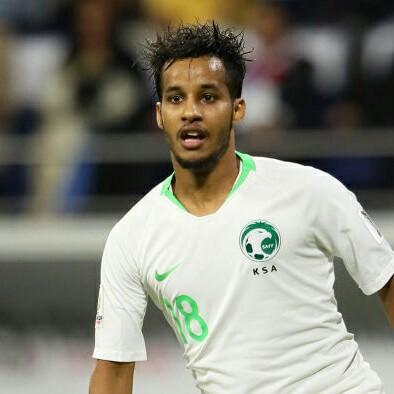 Verde Ghareeb