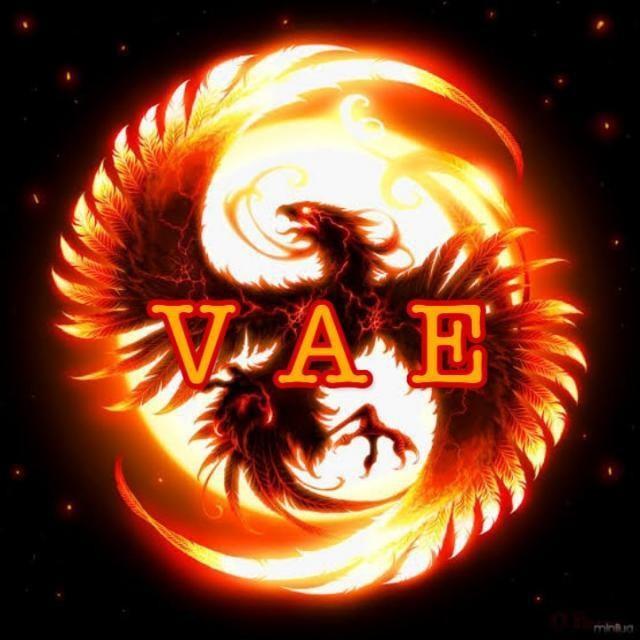 VAE VICTIS