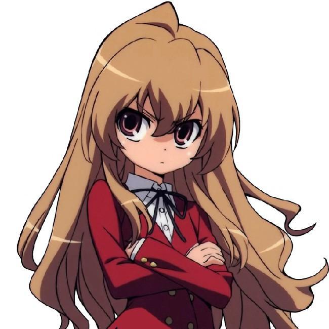 Taiga Aisaka
(Toradora!)