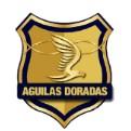 Rionegro Águilas