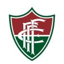 Flu de Feira