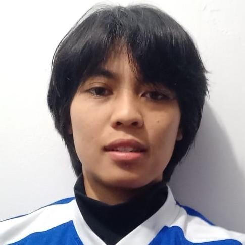 Desy Amelia