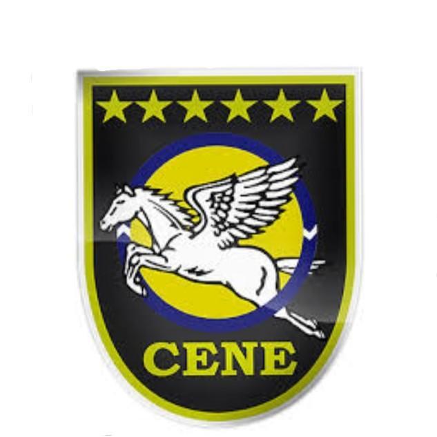CENE - MS