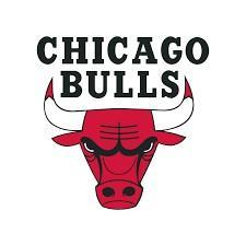 Bulls