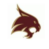 Texas State