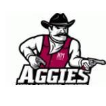 New Mexico State