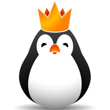 Team Kinguin