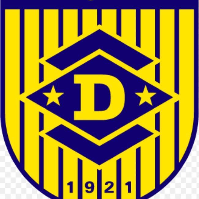 NK DOMZALE