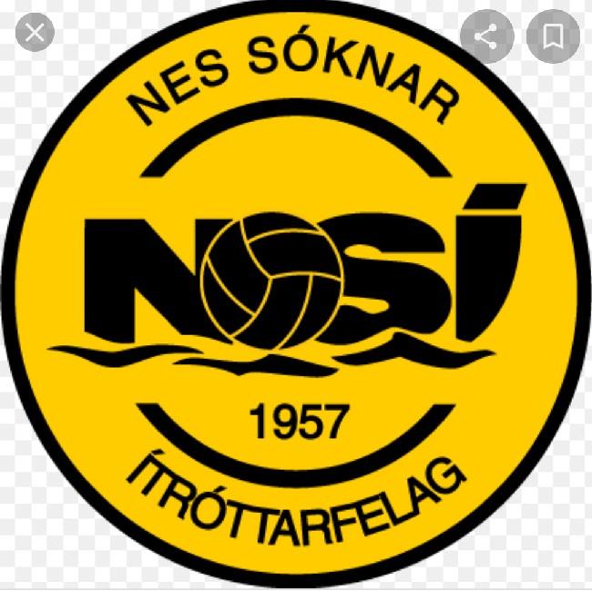 NSI RUNAVIK