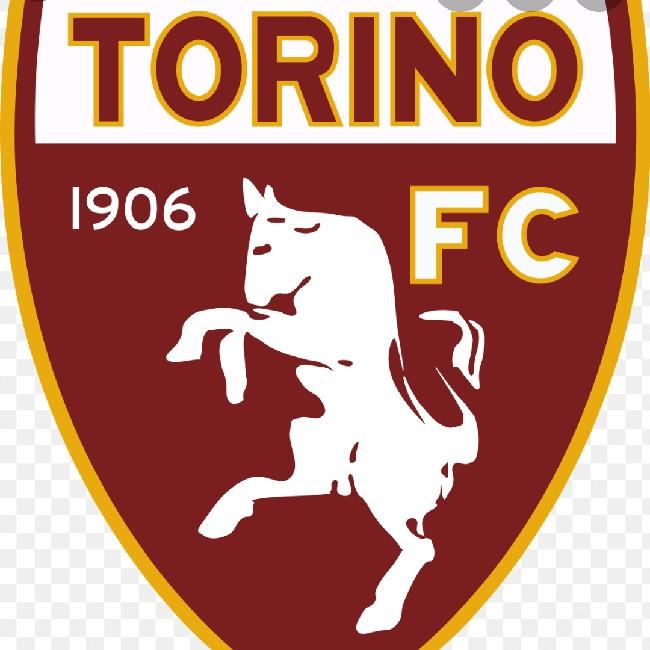 TORINO FC