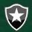 🇧🇷Botafogo