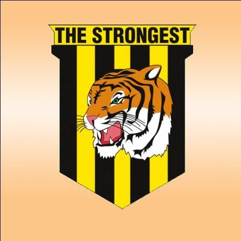 The Strongers(BOL)