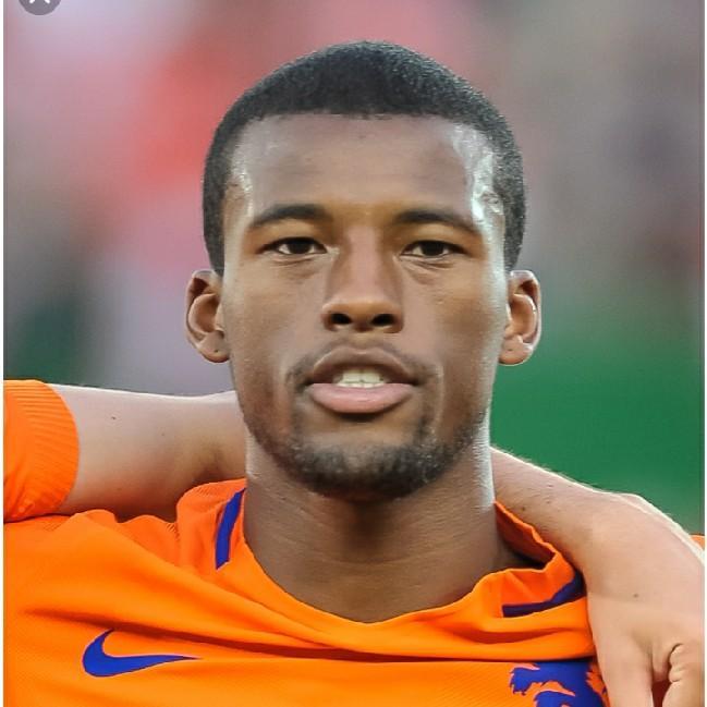 Georginio wijnaldum