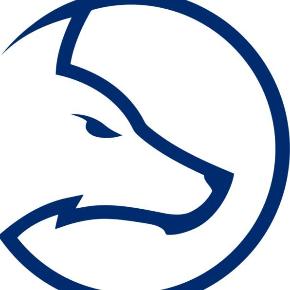 Team LDLC