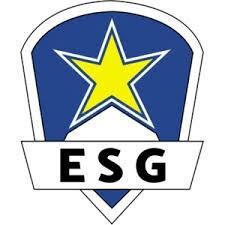 Euronics Gaming