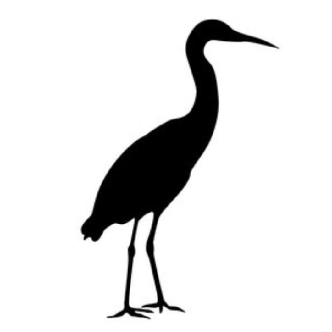 Black Storks