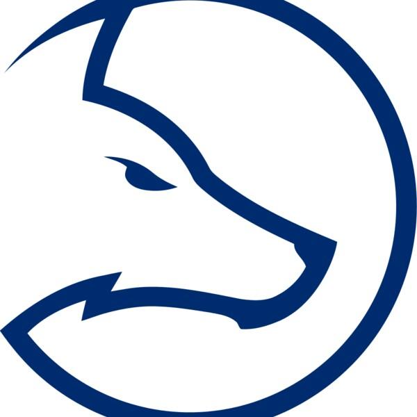 Team LDLC