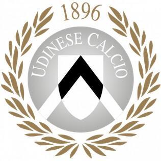 Udinesse