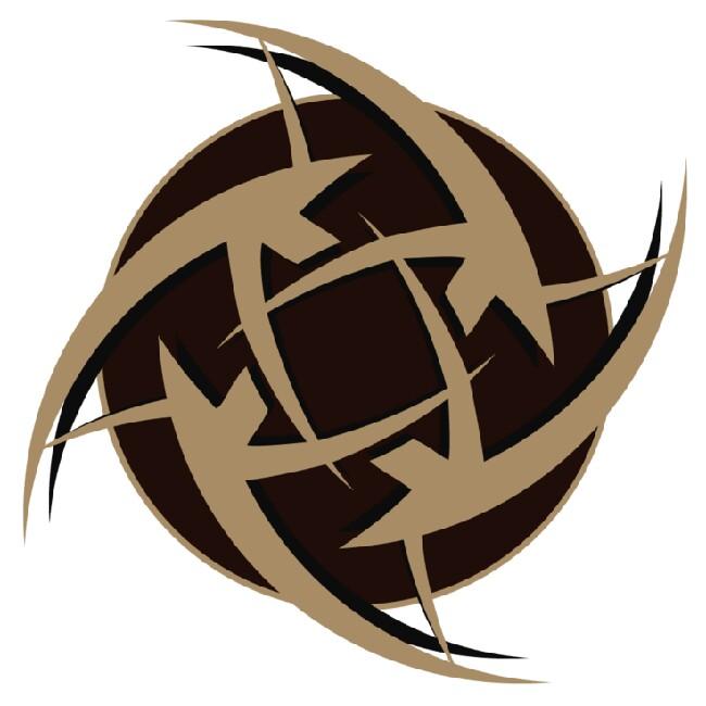 Team NinJa