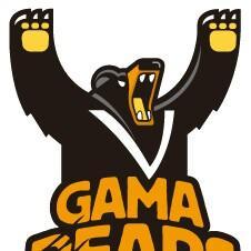 Gama Bears