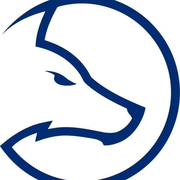 Team LDLC