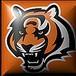 Cincinatti Bengals