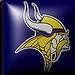 Minnesota Vikings