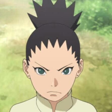 Shikadai