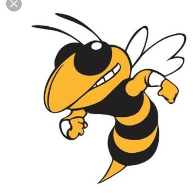 Bees