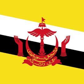 Brunei D.