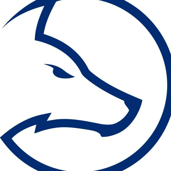 Team LDLC