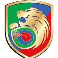 Miedz legnica