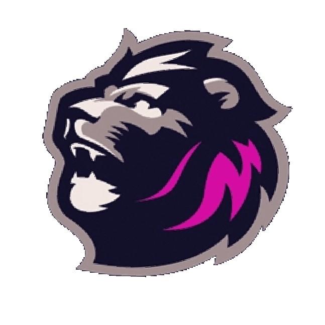 St. Louis Barons