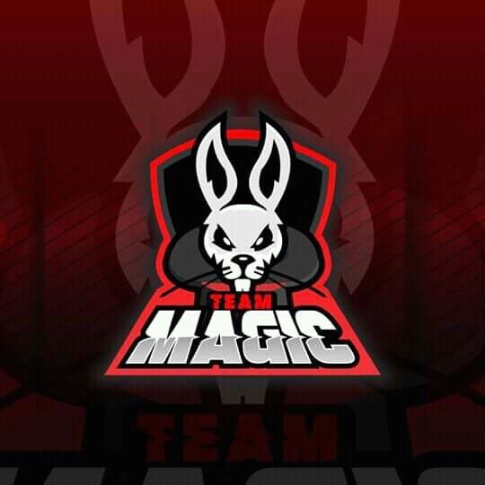 Team Magic