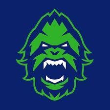 Vancouver Titans