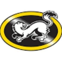 Kärpät