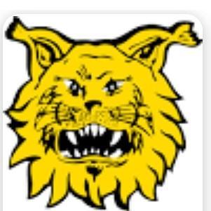 Ilves