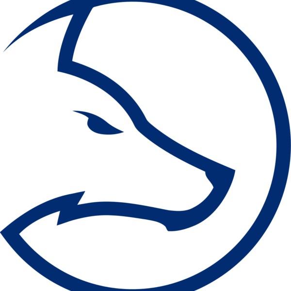 Team LDLC