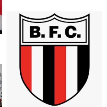 Botafogo SP