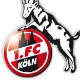 Kölon