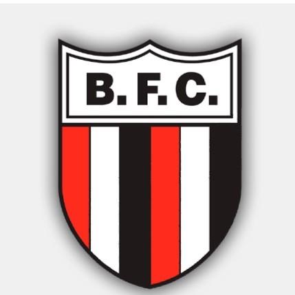 Botafogo-SP